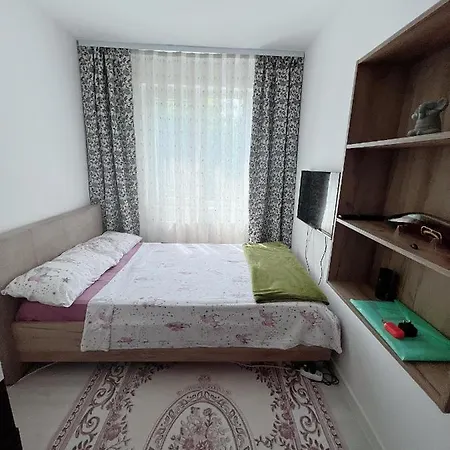 Apartment Satul De Vacanta *