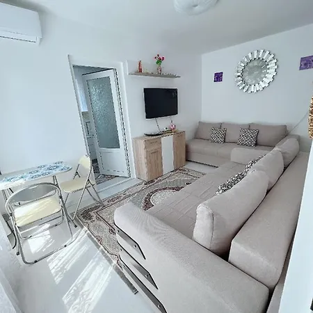 Apartment Satul De Vacanta *